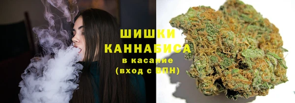 шишки Алексеевка