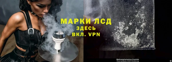 шишки Приозерск