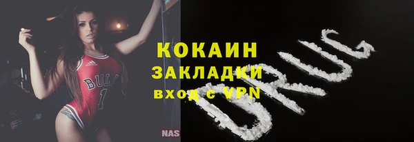 шишки Приозерск