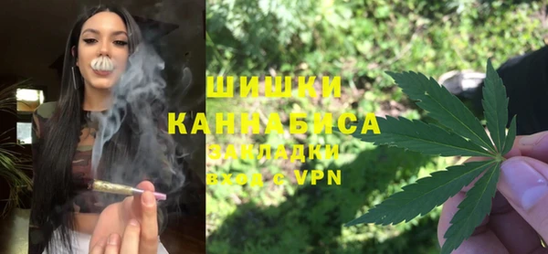шишки Алексеевка