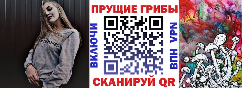 Псилоцибиновые грибы мухоморы  что такое   Зуевка 